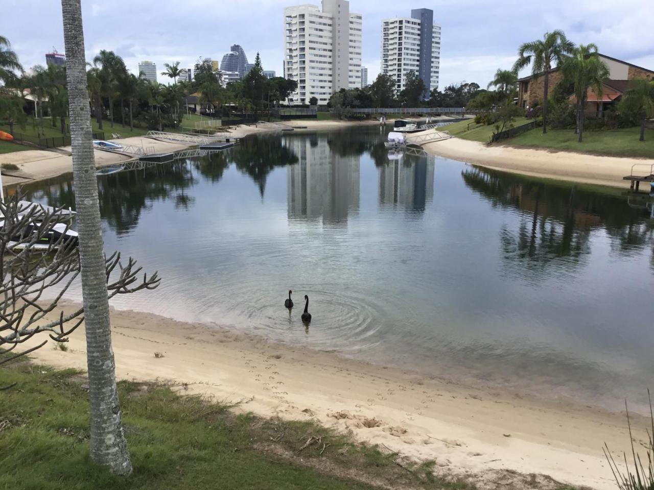 Plumosa On The Water Hotel Gold Coast Exterior foto